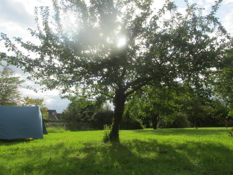 La Chapelle-la-Reine Fontaineblhostel Hostel & Camping Near Fontainebleau מראה חיצוני תמונה